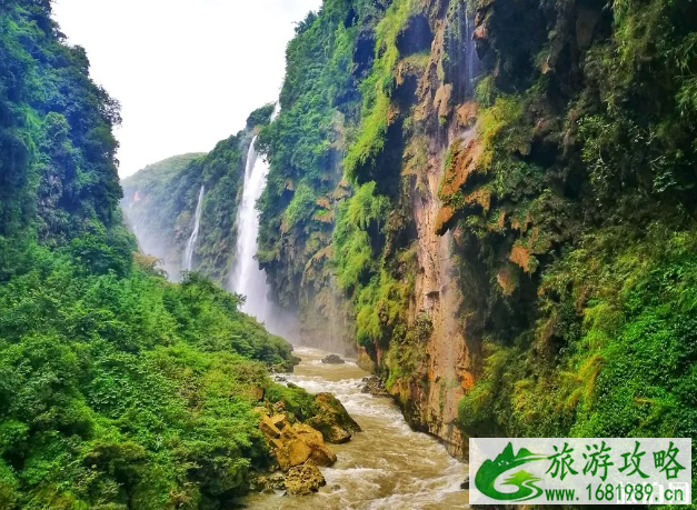 贵州有哪些景点适合夏天玩的-暑期景点推荐