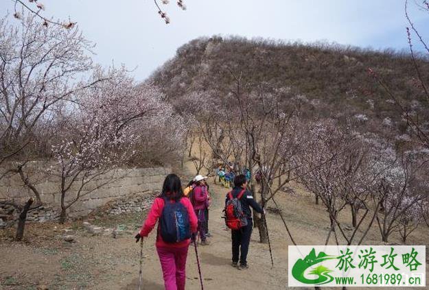 北京香屯村旅游攻略