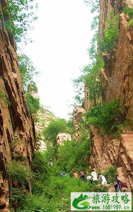 鹤度岭旅游攻略 鹤度岭风景区在哪