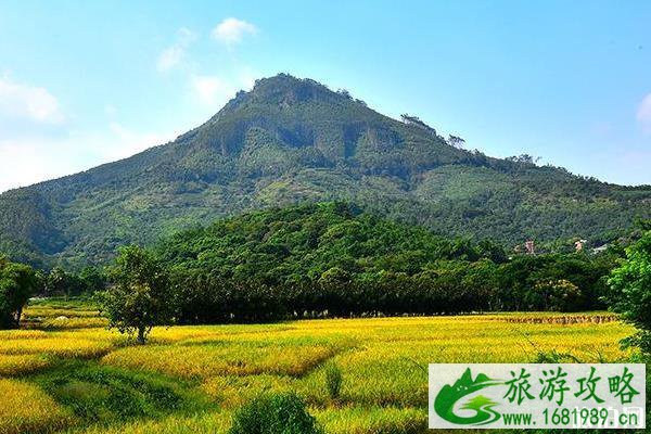 漳州圆山和芝山旅游攻略