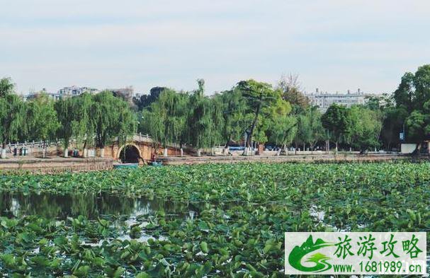 昆明有什么好玩的地方景点推荐