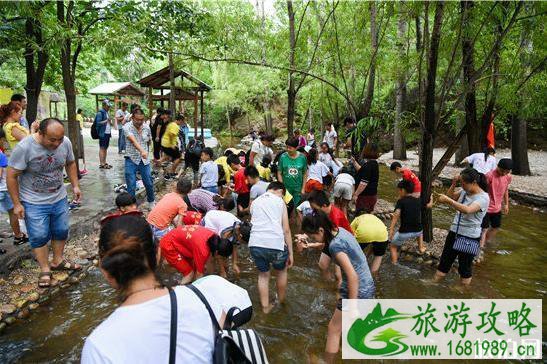 2020保定虎山风景区门票价格 优惠政策