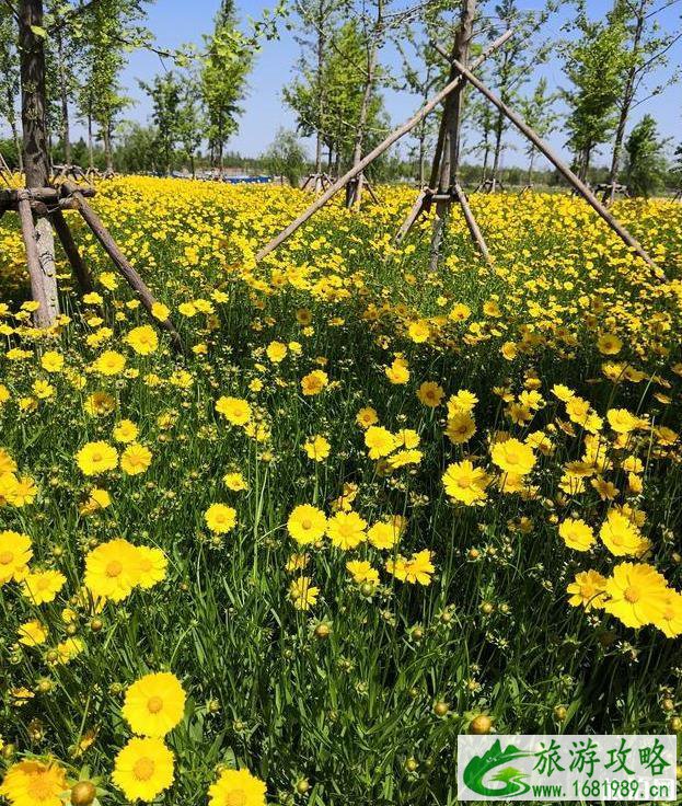 北京通州台湖万亩郊野公园门票停车指南