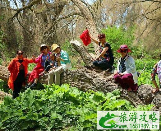 红蝶谷最佳旅游时间