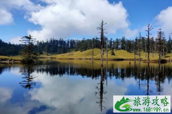 瓦屋山旅游攻略一天