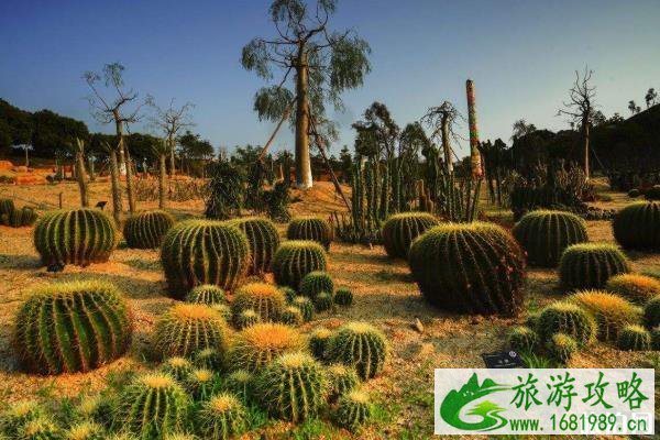 东莞植物园停车场收费吗 东莞植物园停车费多少钱 东莞植物园停车场收费吗 东莞植物园停车费多少钱