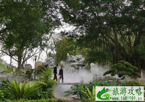 东莞植物园景点介绍 东莞植物园有什么好玩的