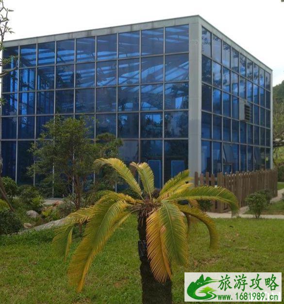 东莞植物园景点介绍 东莞植物园有什么好玩的