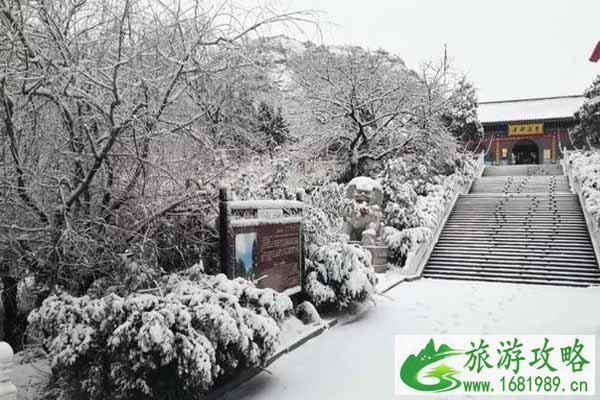 苍马山槐花什么时候开 苍马山风景区怎么样