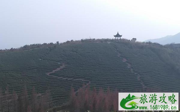 湖州霞幕山云林禅寺介绍