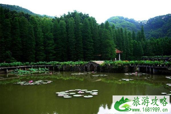 2020仙湖植物园门票预约 仙湖植物园现在开放吗