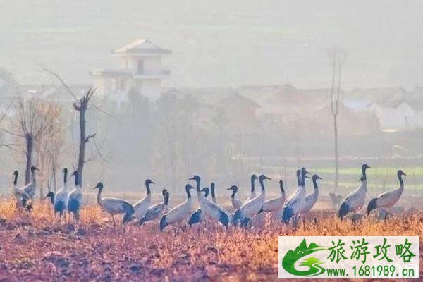 念湖在什么地方 最佳旅游时间