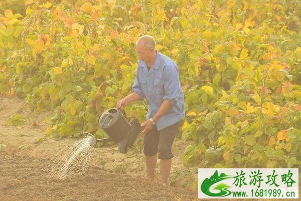 浙江踏青哪里好 浙江踏青景点推荐