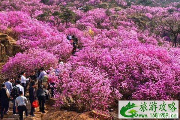 青岛大珠山游玩攻略 门票-开放时间