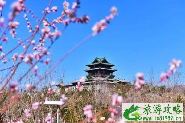 北京京郊春季旅游景点推荐 京郊春游攻略