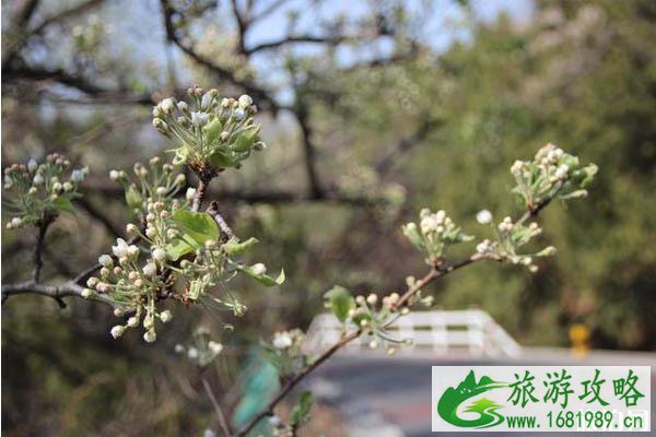 北京十三陵水库在什么地方-交通路线-景色介绍