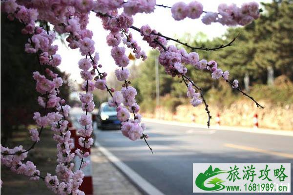 北京十三陵水库在什么地方-交通路线-景色介绍