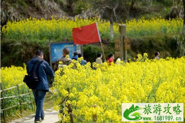 2020年婺源油菜花节时间和游玩攻略