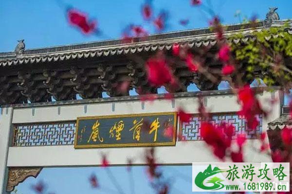 2020南京春季旅游景点 哪些地方好玩