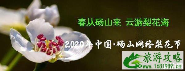 2020砀山网络梨花节观赏指南