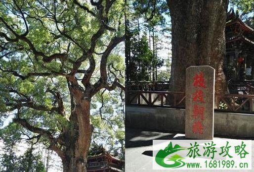 泉州清水岩寺详细介绍 清水岩寺在哪里