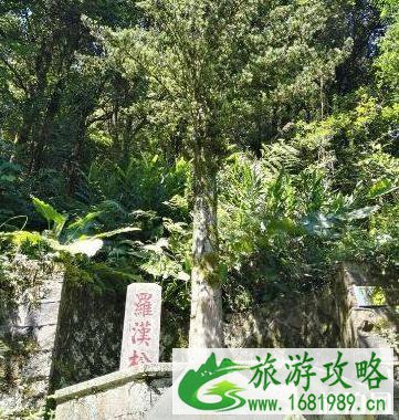 泉州清水岩寺详细介绍 清水岩寺在哪里