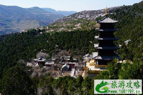 太山龙泉寺一日游旅游攻略