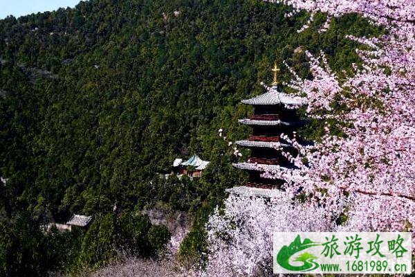 太山龙泉寺一日游旅游攻略