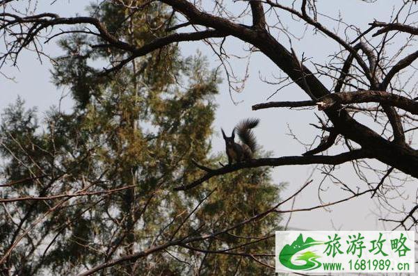 北京高芹路自驾游路线及攻略