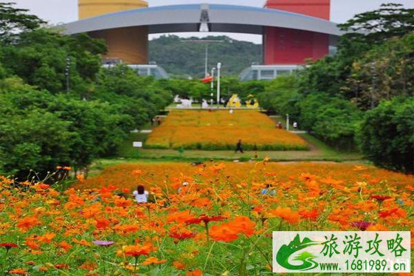 五月深圳赏花景点介绍