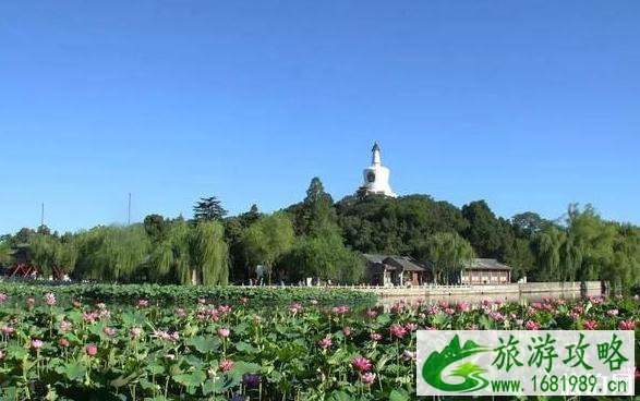 2020北京赏花时间表 地点+时间