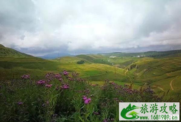 蔚县麻田岭景点介绍