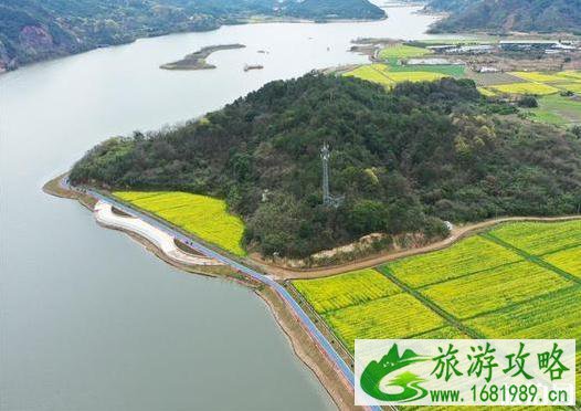 2020诸暨市布谷湖油菜花开了吗