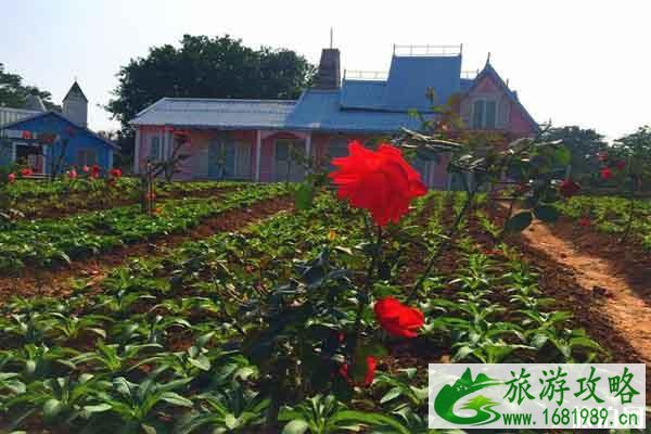 东莞梦幻百花洲地址 赏花时间