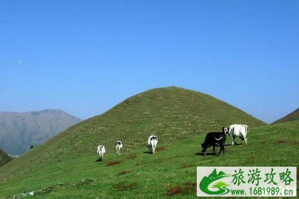 湖南南山景区开放时间和优惠政策