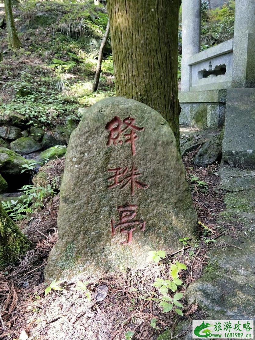 南岳衡山徒步一日游攻略