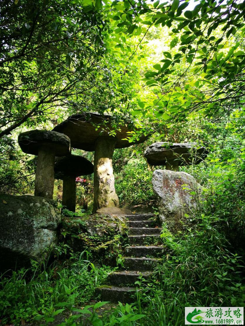 南岳衡山徒步一日游攻略