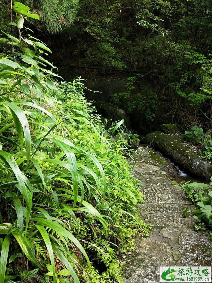 南岳衡山徒步一日游攻略