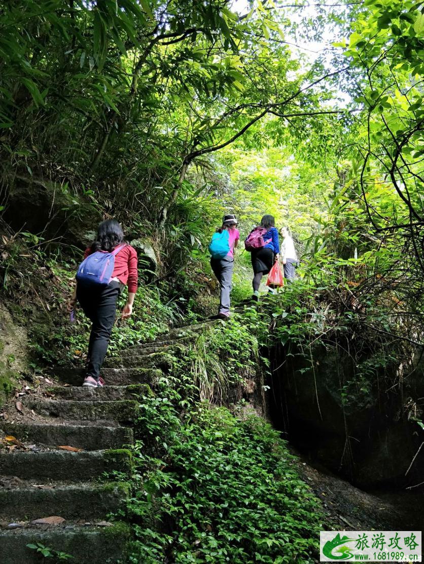 南岳衡山徒步一日游攻略