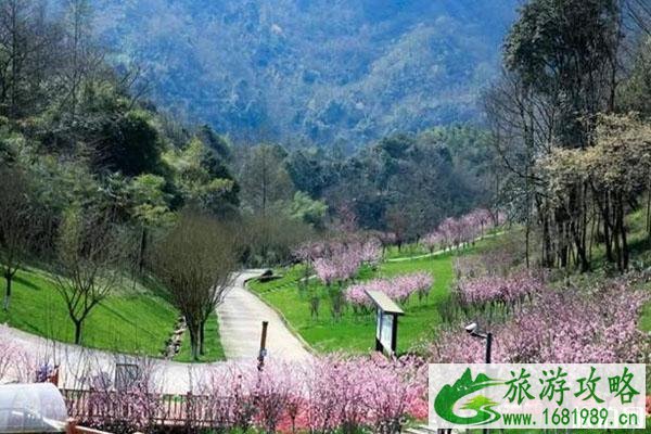 成都天府花溪谷景区1元优惠门票怎么获得