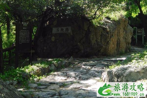 阳台山自然风景区门票多少钱