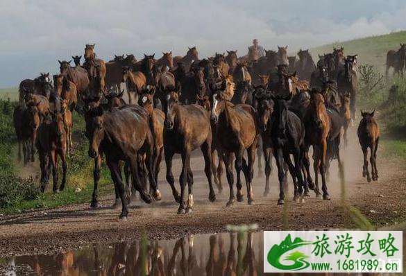 伊昭公路起点和终点在哪里