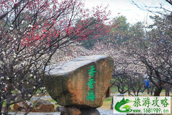 苏州香雪海景区赏花 门票-交通-景区介绍