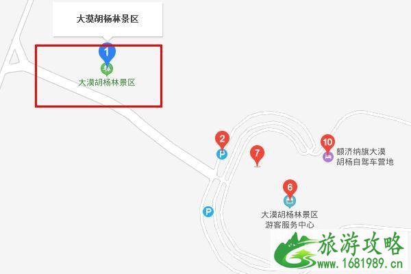 大漠胡杨林在什么地方 大漠胡杨林景区旅游攻略