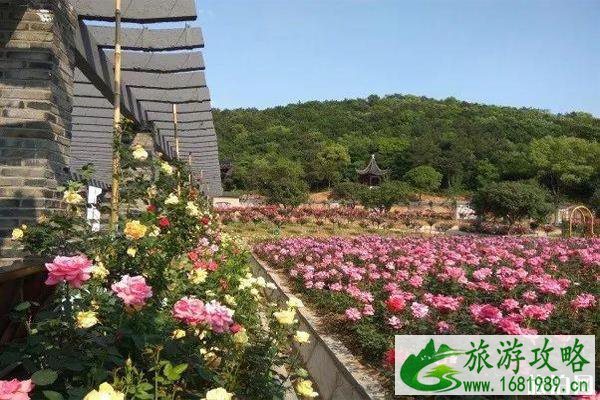 无锡龙寺生态园门票价格 怎么去 无锡龙寺生态园门票价格 怎么去