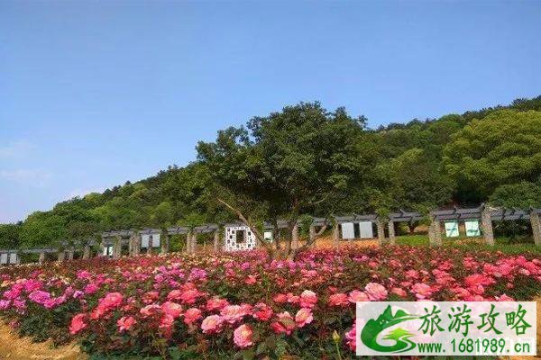 无锡龙寺生态园门票价格 怎么去 无锡龙寺生态园门票价格 怎么去