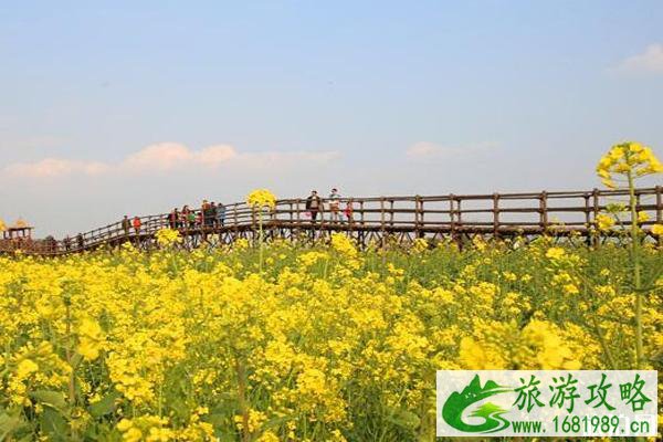 江南荷田风景区门票多少 怎么去