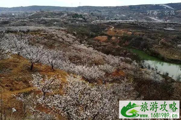 春季陕西赏花景点攻略