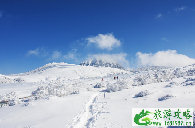 2月起韩国济州岛汉拿山登山预约链接和路线