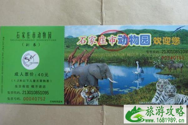 石家庄动物园开通电子发票 石家庄动物园开通电子发票